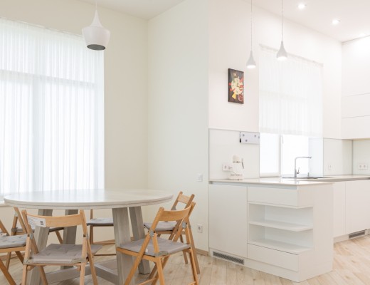 Renovated Lux Apartment 1