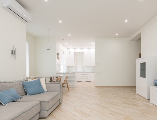 Renovated Lux Apartment 1