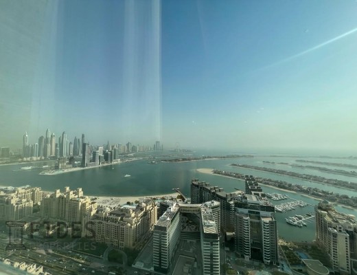 The Palm Tower