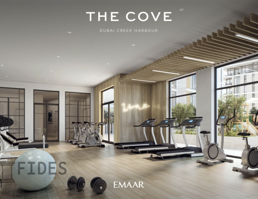 The Cove II