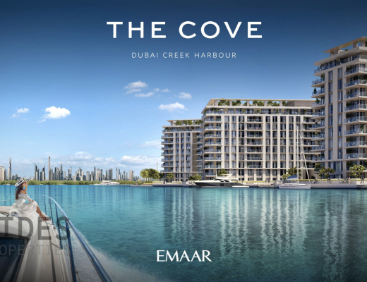 The Cove II