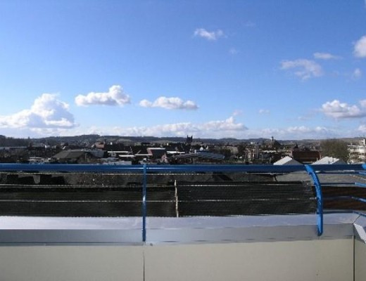 Image of 